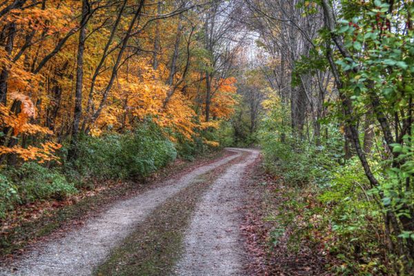  Nhân bản từ Test thêm sản phẩm Shopee 