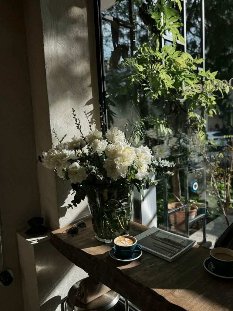  Hoa hồng trắng bên cửa sổ 