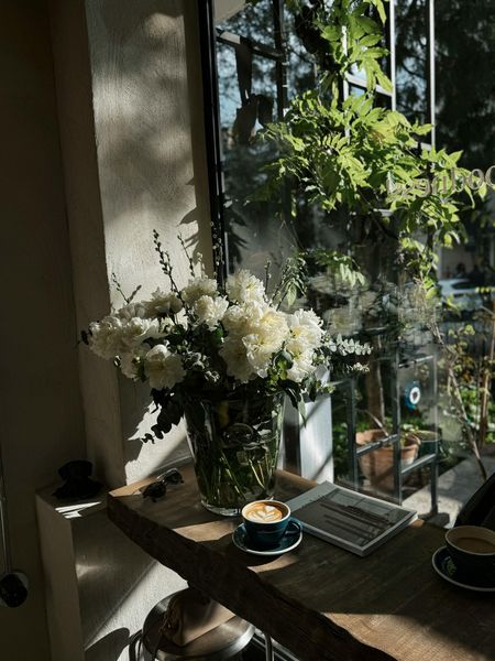  Hoa hồng trắng bên cửa sổ 