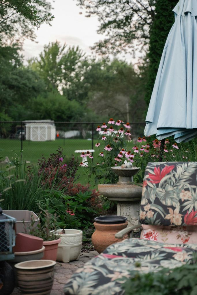  Vườn hoa màu đông 