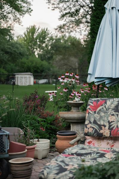  Vườn hoa màu đông 