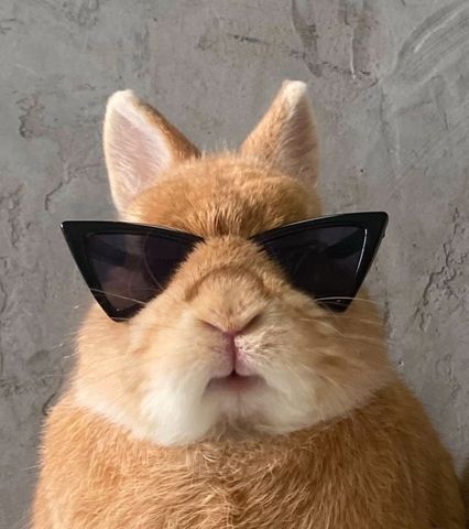 fefewf