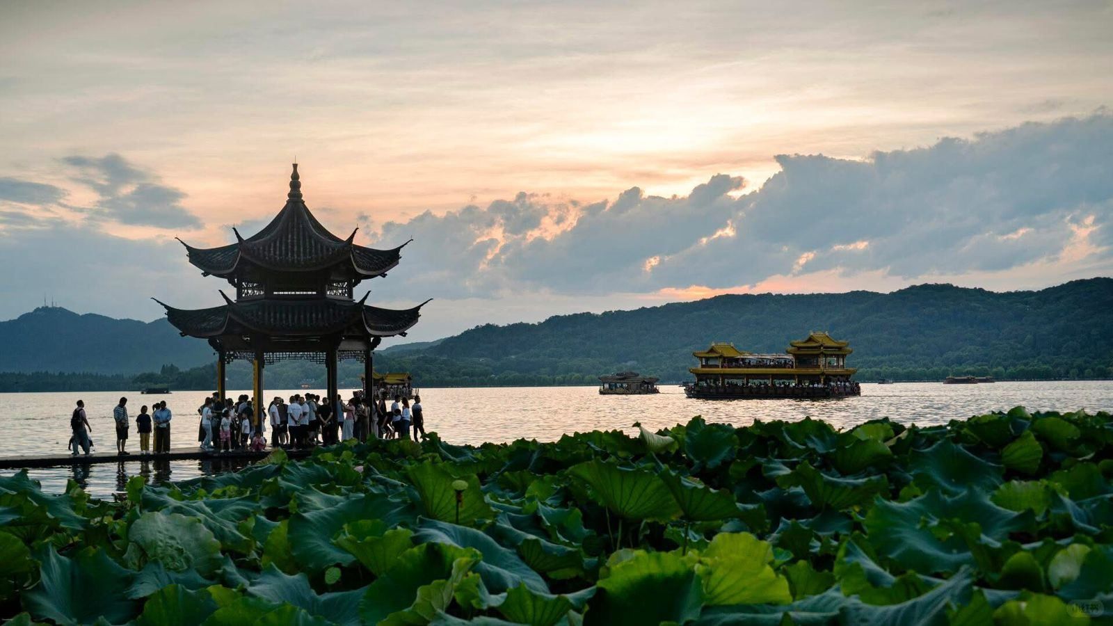 Đầm senn 