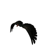  Sp inv 00099-img 