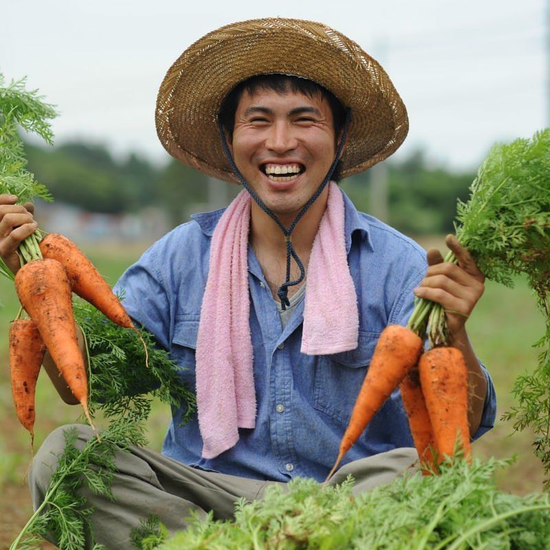  Anh nông dân chăm chỉ 